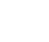 lionorbit